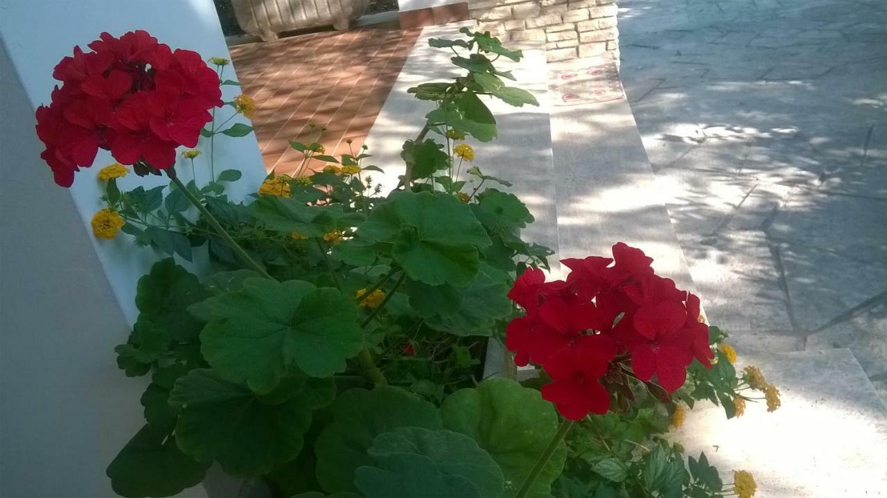 B&B Il Villino 토레 델 로소 외부 사진
